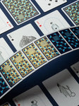 CURIOUS WONDERS PLAYING CARDS